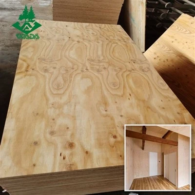 JAS Larch جوڙجڪ پلائيووڊ